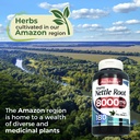 fito-medic-s-lab-stinging-nettle-root-18-3.jpg