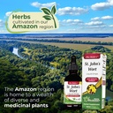 fito-medic-s-lab-st-johns-wort-pure-st-j-2.jpg