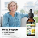 bio-krauter-st-johns-wort-for-calm-mood--2.jpg