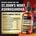 st-johns-wort-tincture-liquid-herbal-ext-2.jpg