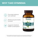 himalaya-usda-organic-gymnema-sylvestre--5.jpg