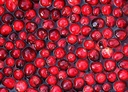 uric-acid-management-uric-acid-uric-acid-6.jpg
