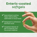 nature-s-way-super-fisol-fish-oil-softge-4.jpg