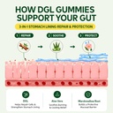 dgl-gummies-deglycyrrhizinated-licorice--2.jpg