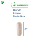 nutra-biogenesis-gastric-support-complex-3.jpg