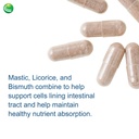 nutra-biogenesis-gastric-support-complex-6.jpg