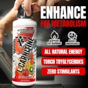 l-carnitine-stimulant-free-enhances-ener-3.jpg