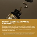 shilajit-capsules-for-men-and-women-1000-5.jpg