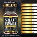 shilajit-gummies-3-in-1-with-sea-moss-bl-2.jpg