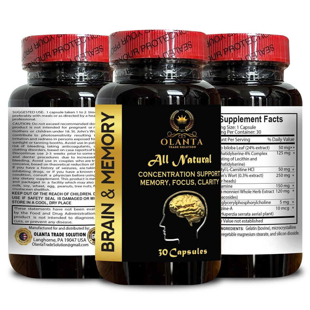 brain-memory-support-cognitive-agility-c-5.jpg