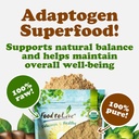 food-to-live-organic-triphala-powder-8-o-6.jpg
