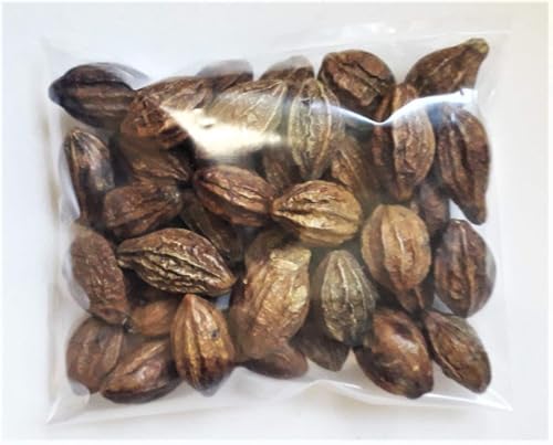 sm-100-natural-dried-whole-haritaki-200g-6.jpg