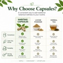 haritaki-capsules-terminalia-chebula-ayu-5.jpg