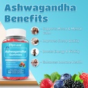 2-pack-ashwagandha-gummies-organic-ashwa-4.jpg
