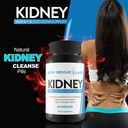 kidney-support-kidney-blood-flow-support-6.jpg