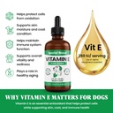 vitamin-e-for-dogs-liquid-250-iu-vitamin-2.jpg