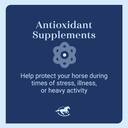smartequine-smart-simple-vitamin-e-pelle-5.jpg