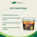 vitamin-e-supplement-for-horses-high-pot-2.jpg
