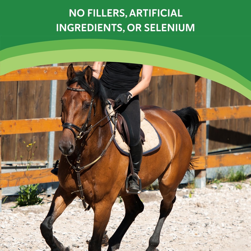 vitamin-e-supplement-for-horses-high-pot-5.jpg