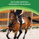 vitamin-e-supplement-for-horses-high-pot-5.jpg