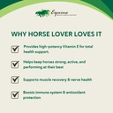 vitamin-e-supplement-for-horses-high-pot-4.jpg