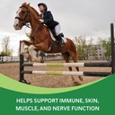 vitamin-e-supplement-for-horses-high-pot-3.jpg