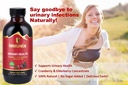 urinary-health-cranberry-elderberry-conc-6.jpg