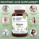 natural-nutra-niacin-supplement-for-ener-3.jpg