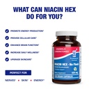 high-absorption-vitamin-b3-niacin-flush--5.jpg