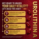 urolithin-a-supplement-180-softgels-with-4.jpg