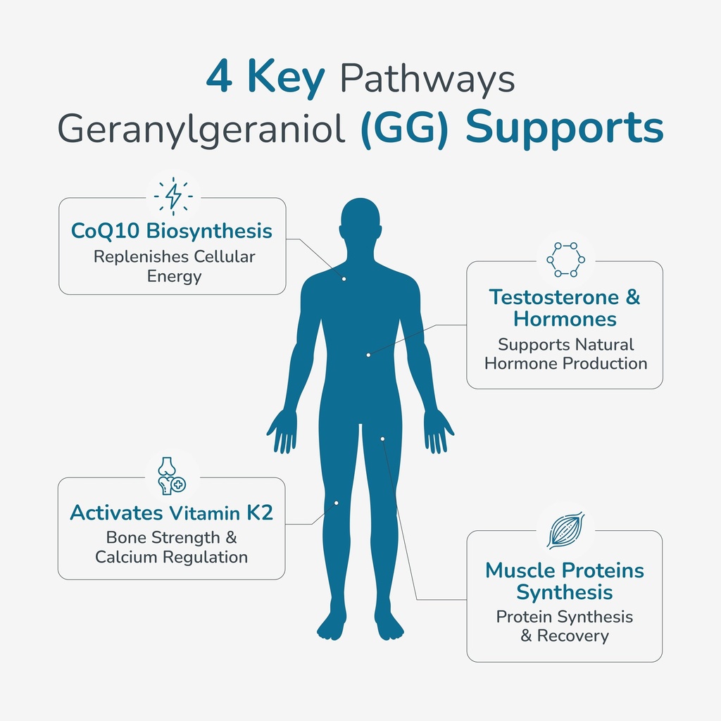 wellness-extract-geranylgeraniol-gg-150m-5.jpg