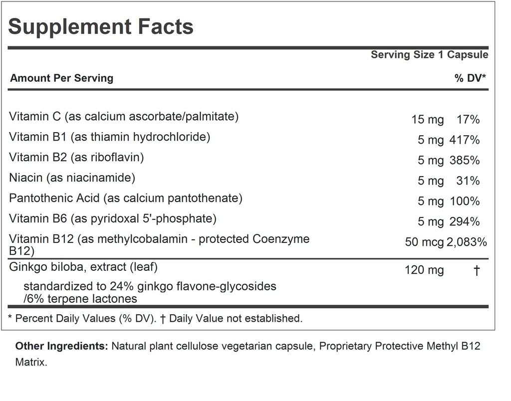 andrew-lessman-ginkgo-biloba-120mg-360-c-2.jpg