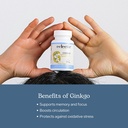 eclectic-herb-ginkgo-biloba-capsules-bra-4.jpg
