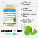 240mg-ginkgo-biloba-gummies-120-gummies--6.jpg