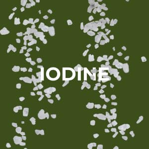 pure-oceanic-root-iodine-non-gmo-plant-b-5.jpg