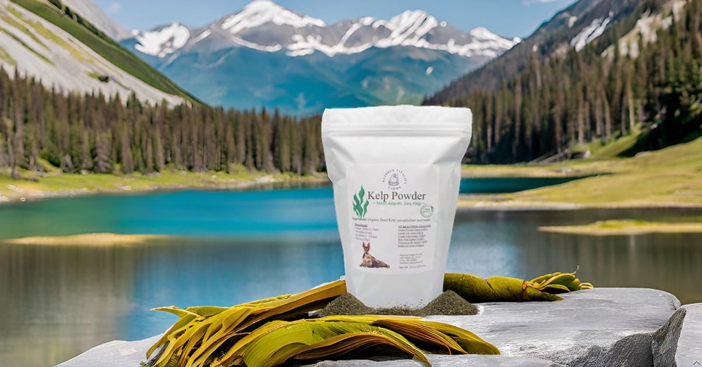 kelp-powder-for-dogs-cats-natural-north--4.jpg