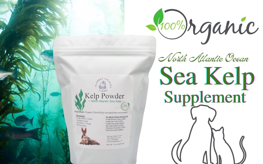 kelp-powder-for-dogs-cats-natural-north--2.jpg