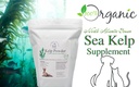 kelp-powder-for-dogs-cats-natural-north--2.jpg
