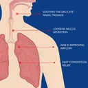 noveha-iodine-nasal-spray-nose-spray-for-3.jpg