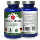 ginkgo-biloba-memory-focus-brain-functio-4.jpg