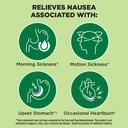 dramamine-nausea-relief-ginger-chews-40--4.jpg