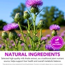 milk-thistle-liquid-drops-milk-thistle-s-3.jpg
