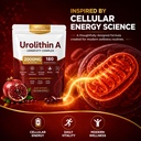 finding-ferdinand-urolithin-a-supplement-3.jpg