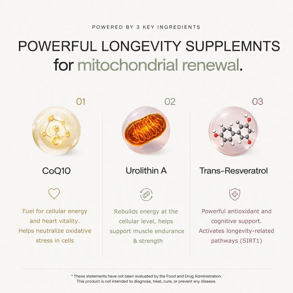 urolithin-a-supplement-longevity-gummy-f-5.jpg