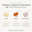 urolithin-a-supplement-longevity-gummy-f-5.jpg