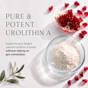 urolithin-a-supplement-longevity-gummy-f-4.jpg