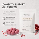 urolithin-a-supplement-longevity-gummy-f-3.jpg