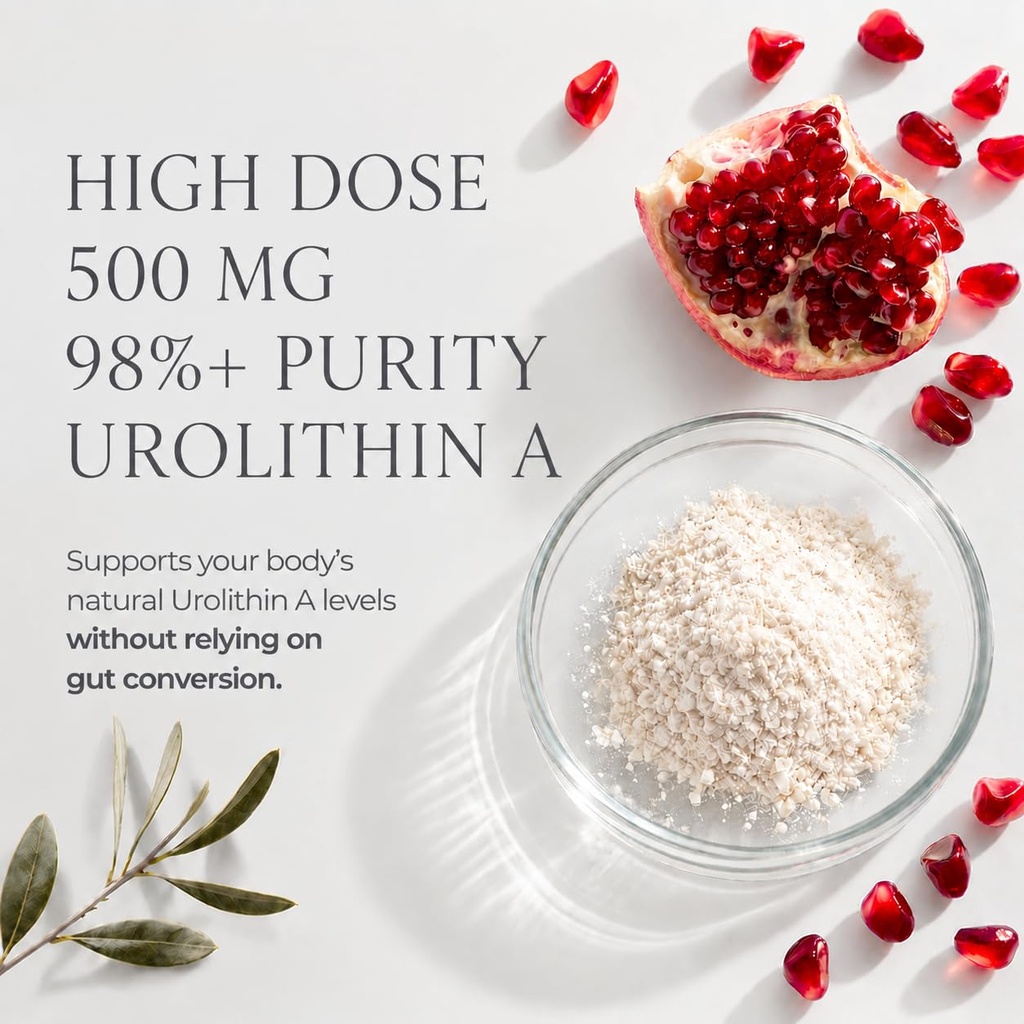 urolithin-a-softgels-supplement-500mg-ce-5.jpg
