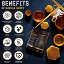 nutrotonic-organic-shilajit-gummies-appl-3.jpg