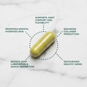 purity-products-ultimate-h-a-formula-cli-3.jpg
